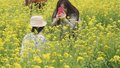 北京5月7日正式入夏 比常年提前13天