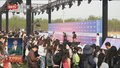 北京国际电影节丨第十四届北京国际电影节游戏动漫电影单元拉开帷幕