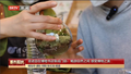 走进自在博物书店阜成门店：畅游自然之间 感受博物之美