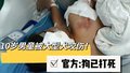 10岁男童被未拴绳阿拉斯加犬咬伤男童母亲:孩子仍在ICU