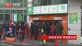 京城老字号 绽放新光彩丨锦芳元宵火热售卖 传统工艺与创新口味受热捧