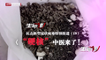 特别报道（十九）“硬核”中医来了！