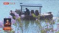 春雨催花开 昌平文旅“热”起来