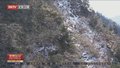 大熊猫国家公园唐家河片区再现野生大熊猫