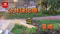 公共绿地变开心农场 种菜居民：公共绿地 我种也没毛病