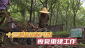 十三陵镇山区灾后重建现场直击