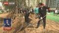 石景山区开展首都全民义务植树日活动
