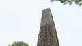 一只雨燕都没有！北京奥森公园“雨燕塔”为何成了“麻雀乐园”？