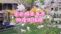 清明小长假密云区推出5条微度假旅游线路