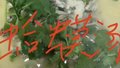 临沂一饭店因发“蛤蟆汤”视频被开45万罚单 官方通报