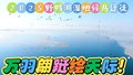 野鸭湖畔，春回鸟归，万羽翩跹绘天际！