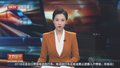 禁化武组织表示 叙利亚过渡政府承诺与其充分合作