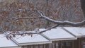 今晨怀柔区喇叭沟门迎降雪