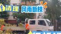 古城街道清理风雨断枝保畅通