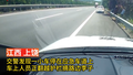 一时嘴馋就停在高速摘李子#？应急车道不是这么用的