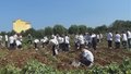 本市365对义务教育学校开展手拉手结对取得积极成效
