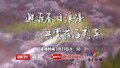 邂逅春日浪漫 共赏花海列车