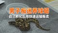 男子痴迷养球蟒 自己孵化后用快递运输贩卖 北京警方上门抓获
