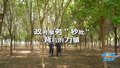 政务服务“秒批”背后的力量
