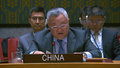 中国代表在安理会发言：美国才是伊核危机的始作俑者