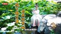 《北京雨燕》MV:檐下精灵舞 雨燕颂京城