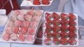 第十一届“北京草莓之星”评选活动在昌平区举办