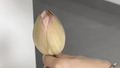 女子为醒花大力狂扇荷花骨朵儿 下一秒悲剧了