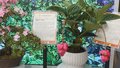 全国“十大名花”进京 年宵花市场形成十六区联动