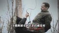 奥斯维辛的主犯们被处死