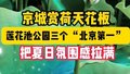 北京赏荷天花板！莲花池公园三个“北京第一”把夏日氛围感拉满