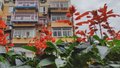 “数智”惠民生