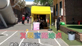 一起抓住春风，带上萌宠出发吧！