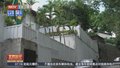 委内瑞拉官员否认包围和骚扰阿根廷驻委大使馆