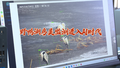 打开“智眼” 野鸭湖鸟类监测进入AI时代