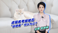 【主播说新闻】虐猫者考编被否 “缺德者”何以为公？