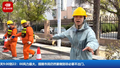 20分钟极速清障！马连洼街道倒树预案太顶了，因“清空停车位”零损失
