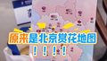 中关村论坛年会开幕式现场，志愿者“悄悄”往嘉宾包里塞赏花地图！
