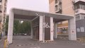 【社区零距离】小区公共绿地变成“私家菜园”