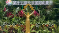 春风不迟，光影正好！快来北京国际电影节打卡！