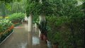 未来三天雷阵雨将频繁出没