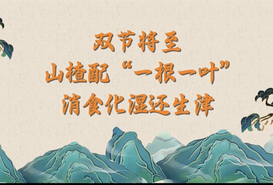 （9.20）双节将至，山楂配“一根一叶”，消食化湿还生津