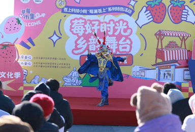 “莓满苍上”草莓文化节启幕 小草莓撬动张家湾镇乡村振兴大文章