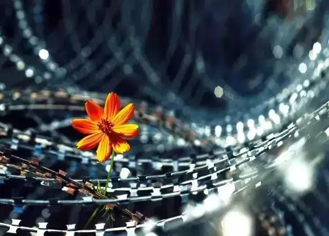 别和小人计较,别和家人生气, 别和自己过不去,