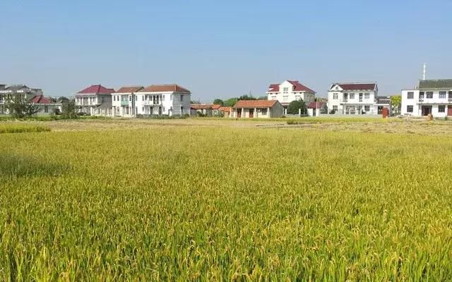 农村地产市场活跃 农村宅基地大大升值