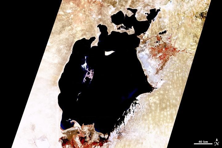 在地球上存在了550万年的它，三年内将从世界上彻底消失?