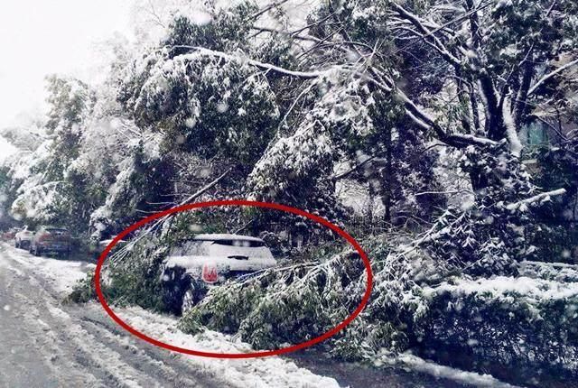 冬天汽车如果停在外面,遇到下雪天,老司机都会