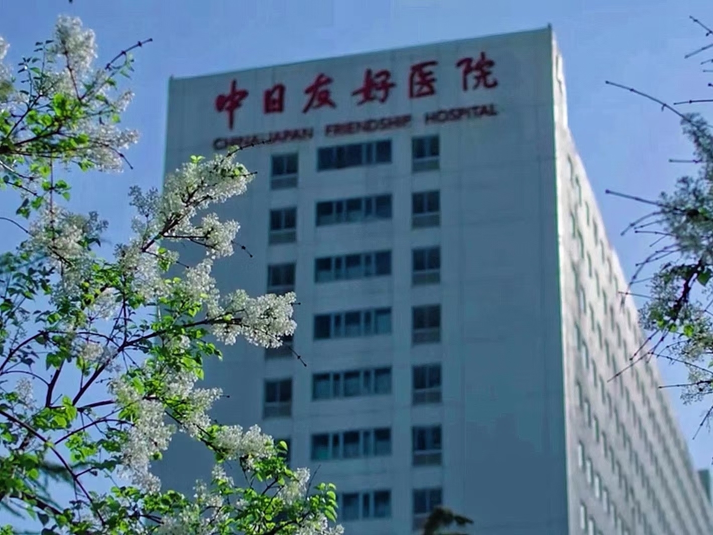 北京中日友好医院黄牛代挂票贩子挂号的简单介绍 北京中日友好医院黄牛代挂票贩子挂号的简单介绍