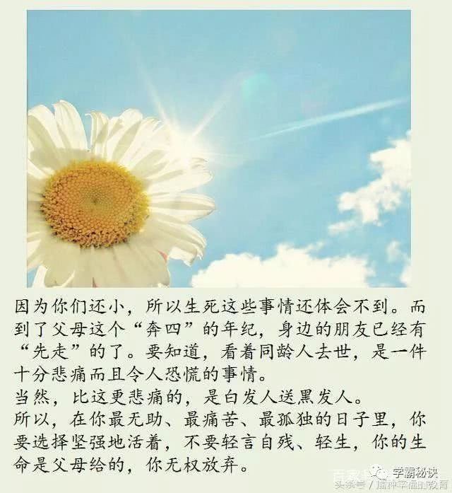 用教育感悟人生!父母一生必对子女所说的10句