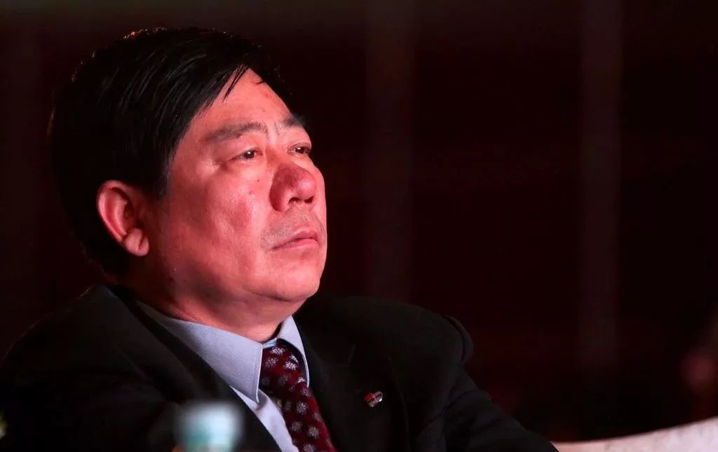 庞大"生死":负债超370亿元 庞庆华股份遭100%冻结