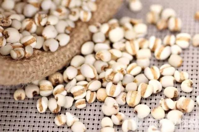 2018北京食品饮料展|健胃好食材(图4) 2018北京食品饮料展|健胃好食材(图4)